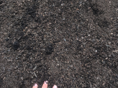 Screened bark Fines 10mm and smaller Cubic meter (m3)