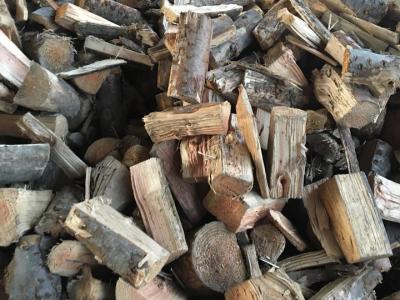 Oregon (Christchurch only)