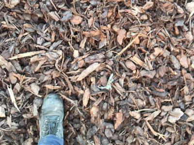 Coarse Bark 30-50mm cubic meter