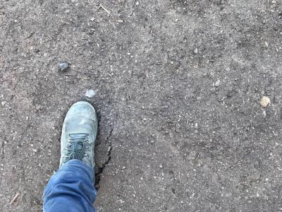 Screened bark Fines 10mm and smaller Cubic meter (m3)